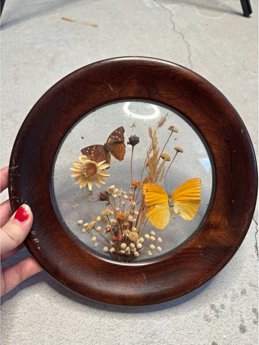 Vintage Round Wood Deep dried flowers and butterfly wall art